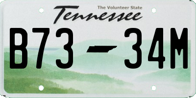 TN license plate B7334M