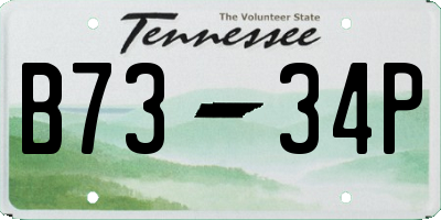 TN license plate B7334P