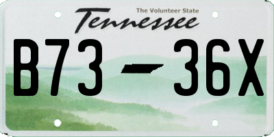 TN license plate B7336X