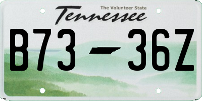 TN license plate B7336Z