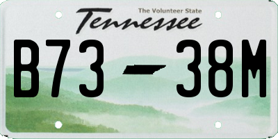 TN license plate B7338M