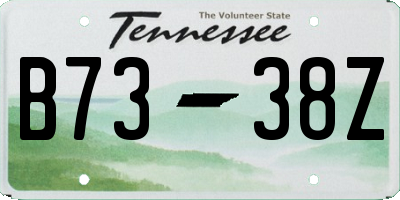 TN license plate B7338Z