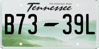 TN license plate B7339L