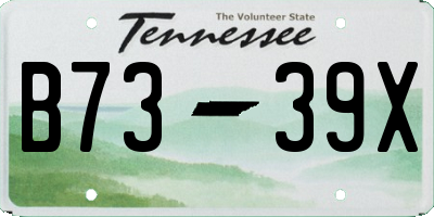 TN license plate B7339X