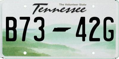 TN license plate B7342G