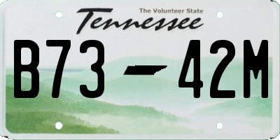 TN license plate B7342M
