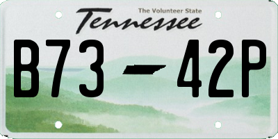 TN license plate B7342P