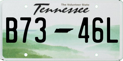 TN license plate B7346L