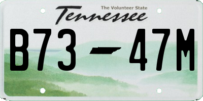 TN license plate B7347M