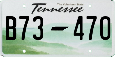 TN license plate B7347O