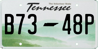 TN license plate B7348P