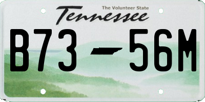 TN license plate B7356M