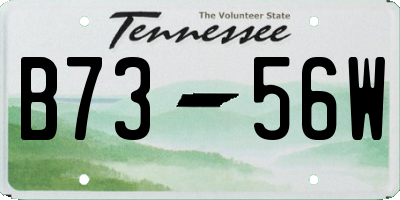 TN license plate B7356W