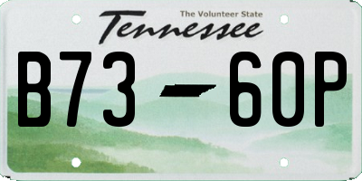 TN license plate B7360P