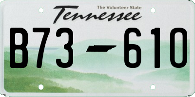 TN license plate B7361O