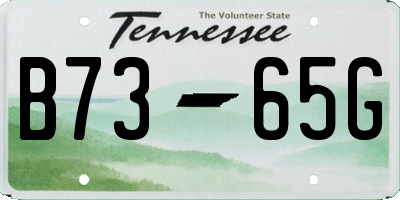 TN license plate B7365G