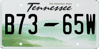 TN license plate B7365W