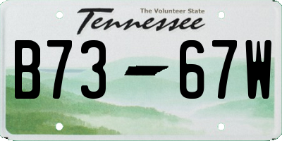TN license plate B7367W