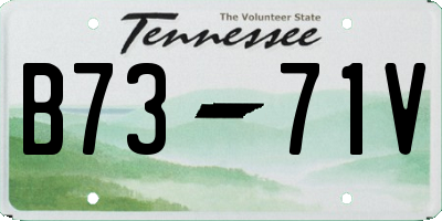 TN license plate B7371V