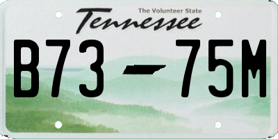 TN license plate B7375M