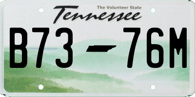 TN license plate B7376M
