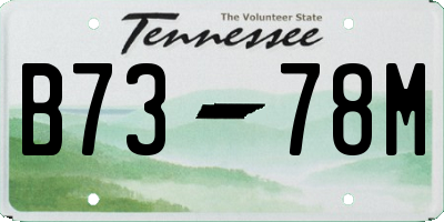 TN license plate B7378M