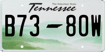 TN license plate B7380W