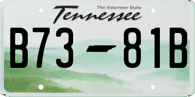 TN license plate B7381B