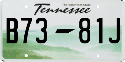 TN license plate B7381J