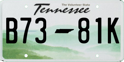 TN license plate B7381K