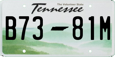 TN license plate B7381M