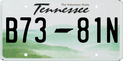 TN license plate B7381N