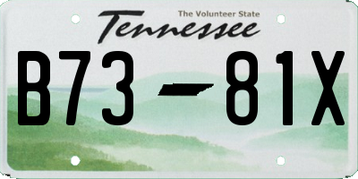 TN license plate B7381X