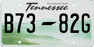 TN license plate B7382G