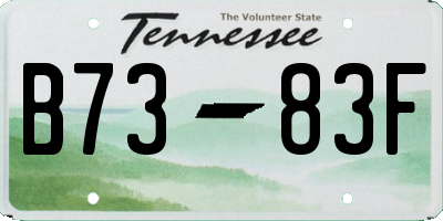 TN license plate B7383F