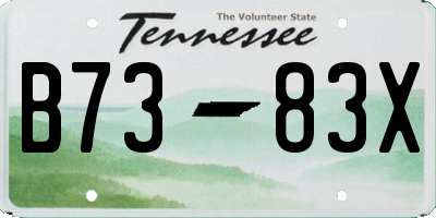 TN license plate B7383X