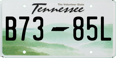 TN license plate B7385L