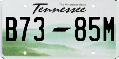 TN license plate B7385M