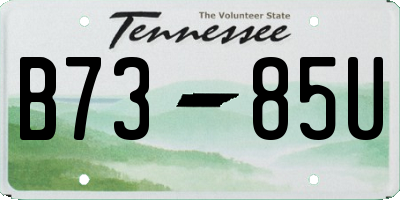 TN license plate B7385U