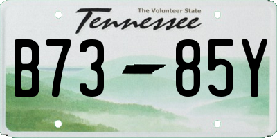 TN license plate B7385Y