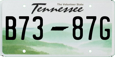 TN license plate B7387G