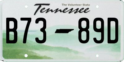 TN license plate B7389D