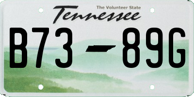 TN license plate B7389G