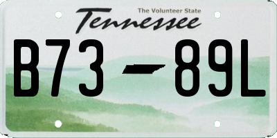 TN license plate B7389L