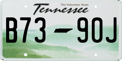 TN license plate B7390J