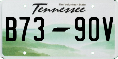 TN license plate B7390V