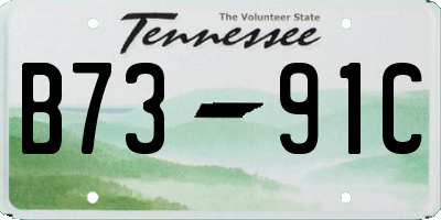 TN license plate B7391C