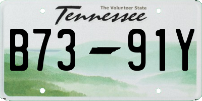 TN license plate B7391Y