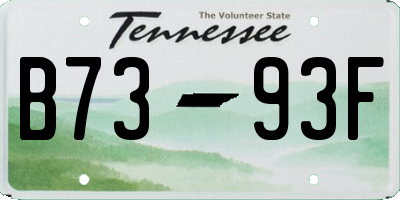 TN license plate B7393F