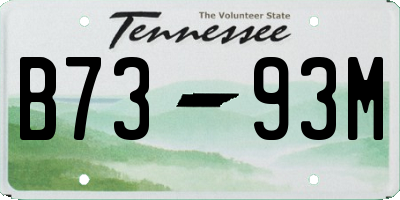 TN license plate B7393M